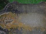 image of grave number 954329